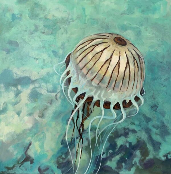 Rising-jellyfish-by-paul-darcy